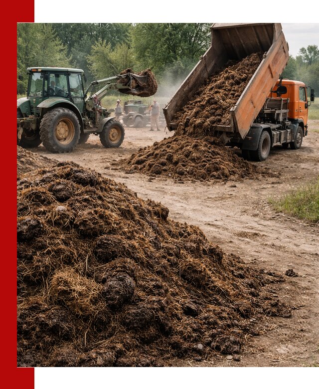 Доставка навоза самосвалами в Дзержинском для сельхозпотребностей